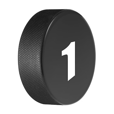 HeavenBird Ice Hockey Pucks Bulk for Practicing Official Size Diameter 3 Inches Thickness 1 Inchs 6oz Black 1 Pcs