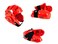 Lightning Red Karate Sparring Gear Package Deal  Child Medium