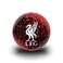 Icon Sports Liverpool FC Size 5 Soccer Ball
