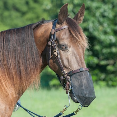 Cashel Quiet Ride Horse Nose Net Mask Protects from Biting Insects Fly Mask Large Black
