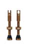 Peatys Mk2 Valves BICYLE COMPLEMENTS