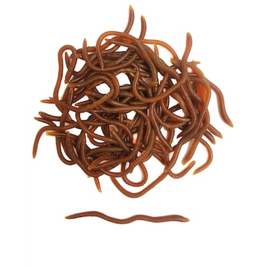 Fishing Soft Lure Earthworm Bait Lifelike Fake Earthworm Grub Worm Soft Fishing Lure BaitsVarious