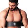 Arm Blaster  Bicep Blaster for Curling Bars for Weight Lifting  Bicep Curl Support Isolator For Muscle Gains  Arm Isolator Bicep Curl Bar Equipment  Bodybuilding Arm Blaster for Biceps  Triceps