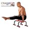Rubberbanditz Calisthenics Parallel Bars  At Home Workout Equipment Ideal for Push Ups Dips Handstands Gymnastics