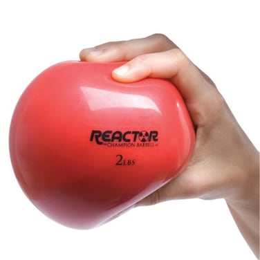 Champion Barbell Hand Held Fitness Ball