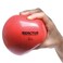 Champion Barbell Hand Held Fitness Ball