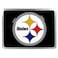 Pittsburgh Steelers NFL Hitch Cover Class II  III