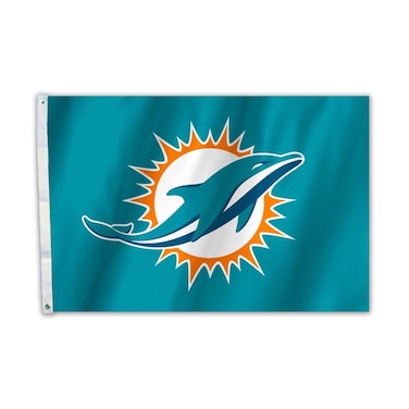NFL Arizona Cardinals 2 x 3Foot Flag