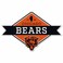 Rico Industries NFL Chicago Bears Diamond Shape Cut Pennant  Home and Living Room Dcor  Soft Felt EZ to Hang