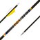 Gold Tip Kinetic Pierce Platinum Arrows