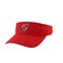 ZHATS NHL Officially Licensed Visor Drill Icon Team Color