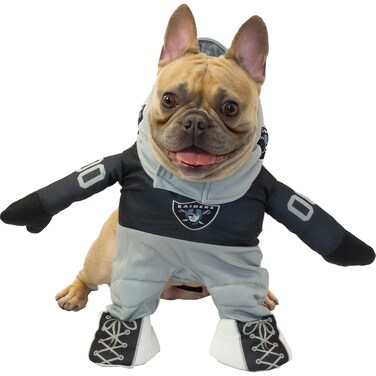 NFL LAS Vegas Raiders Officially Licensed Running Dog Costume by MODERN HERO Includes 2 pc Set  Bodysuit and Hat Size S