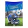 NFL Detroit Lions NFL Midfield Wall Hanging 40 x 57 Inches