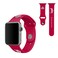 SOAR NCAA Apple Watch Band Ohio State Buckeyes