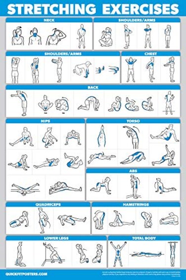 Palace Learning QUICKFIT Stretching Workout Exercise Poster  Stretch Routine Laminated 18 x 27