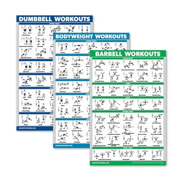 QuickFit 3 Pack  Dumbbell Workouts  Bodyweight Exercises  Barbell Routine Poster Set  Set of 3 Workout Charts Laminated 18 x 27