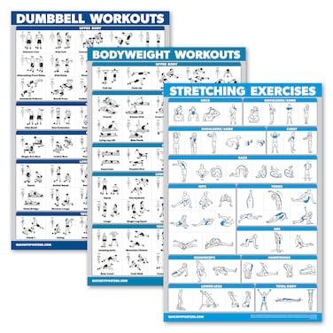 Palace Learning QuickFit 3 Pack  Dumbbell Workouts  Bodyweight Exercises  Stretching Routine Poster Set  Set of 3 Workout Charts Laminated 18 x 27