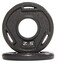 Signature Fitness Cast Iron Plate Weight Plate for Strength Training and Weightlifting Standard or Olympic Multiple Sizes