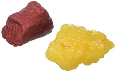 Nasco Life Form Muscle  Fat Replicas 1lbs