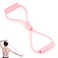 Biiange Chest Expander Pull Exerciser Arms Pull Up Pull Rope Strength Training Chest Expander Resistance Chest Expander Spring Chest Expander for Home Workout
