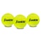 Franklin Sports Pressureless Tennis Balls  Official Size Low Pressure Tennis Balls  Great for Training  Practice  Low Bounce Tennis Balls  All Court Surface Tennis Balls  Carry Bag Included