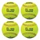 Franklin Sports Practice Softballs  OL1000 Fastpitch 12 Inch Yellow Softballs  Official Size  Weight Practice Balls for Youth  Beginner Players  1 Pack 4 Pack  12 Ball Bulk Packs