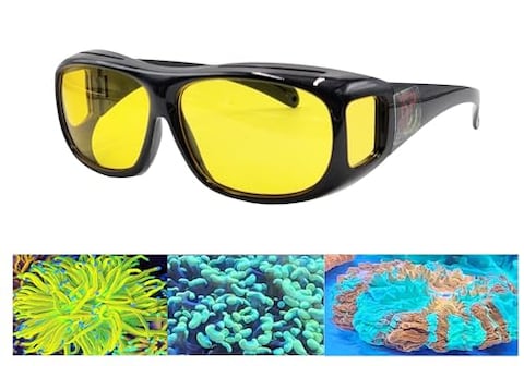 TUBeauty UV Coral Reef Viewing Glasses for Saltwater Aquarium Reef Tank  UV Glass for Coral Reef Tank  Coral Glass Lens Filter for Professional Photography