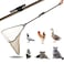 Smarkey Animal Catch Net Poultry Catching Pole Tool Kit Cat Net Catcher Chicken Catch Net Poultry Catching Net for Small Animals Support DuckGooseBird Skunk Bat and Raccoon