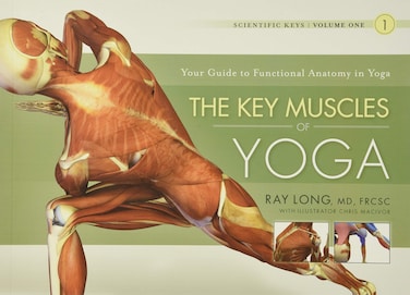 Key Muscles of Yoga Your Guide to Functional Anatomy in Yoga