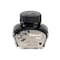 Pelikan 4001 Ink Bottle 30 ml Pack of 1 Black