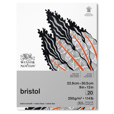 Winsor  Newton Bristol Paper Pad 250 gsm 9x12 20 Sheets