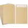 MEIXIAOVISNB58 100 Pack Coin Envelopes 323453Brown Kraft Small EnvelopesFully sealed seed envelopeKraft Small Coin EnvelopesSeed Envelopes Mini Envelopes for Office Home School