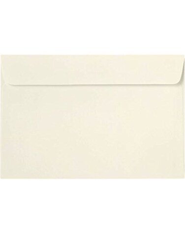 LUXPaper 6 x 9 Booklet Envelopes in 70 lb Natural for Mailing a Business Letter Catalog Financial Document Magazine Pamphlet 50 Pack OffWhite