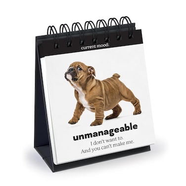 Genuine Fred Daily DOGGO Desktop Flipchart