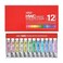 Holbein Artists Watercolors Pastels Set of 12 5 ml Tubes