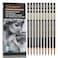 Qionew Professional Charcoal Pencils Drawing Set  10 Pieces Super Soft Soft Medium  Hard Charcoal Pencils for Drawing Sketching Shading Beginners  Artists