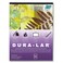 Grafix DURALAR CLEAR 005 14X17 25SH