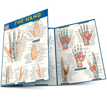 QuickStudy The Hand