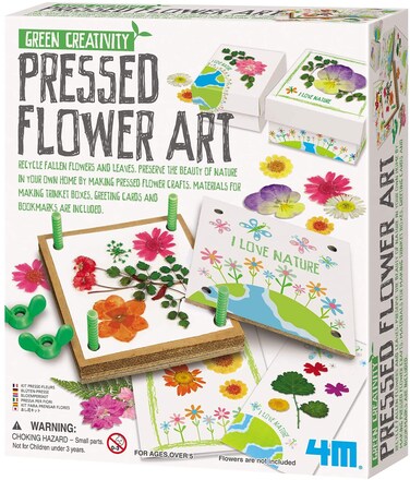 4M Toysmith Green Creativity Pressed Flower Art Kit Recycle Flowers Art  Crafts DIY Kit For Boys  Girls Ages 5
