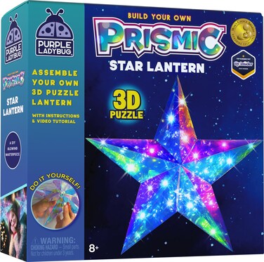 PURPLE LADYBUG Prismic Star