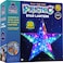 PURPLE LADYBUG Prismic Star