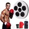 FAHKNS Music Boxing Machine Home Wall Mounted Electronic Boxing Machine Black Portable Smart Bluetooth LED Lights Musical Boxing Machine Home Kids Adult Boxing Training Stress Release