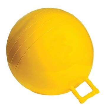 Airhead 20 51cm Diameter Buoy