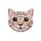 Intex Cat Face Inflatable Island 58in x 53in Multicolor Model58784EP