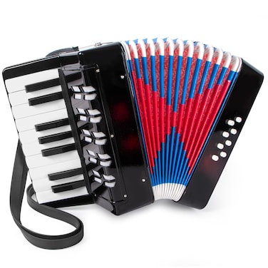 Accordion 17 Keys Piano Accordion for Kids 8 Bass with Straps for Beginners Student Educational Musical Instrument 17Key Pink