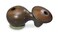 LP Latin Percussion LP817524 Udongo II Udu Drum
