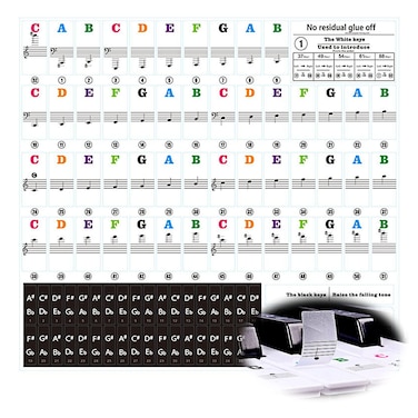 VectWaby Piano Keyboard Stickers for Beginners Bold Large Colorful Letter Removable Sticker Notes Label for Kids Learning Music Full Size  887661544937 Keys  Rainbow Color
