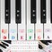 Ldouxx Transparent Removable Piano Keyboard stickers thin with Colorful Bigger Letter used for 887661544937 Keys for Piano Beginner Learning Kids
