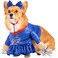 NFL Buffalo Bills Officially Licensed Cheer Dog Costume by MODERN HERO Includes Dress with Faux Stuffed arms and Tinsel pompoms and Satin Bow Headband Size XS