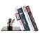 LAIX Master Yoda Force Metal Bookend DoubleSided Printing Yoda Pattern Creative Gift for Star War Lovers